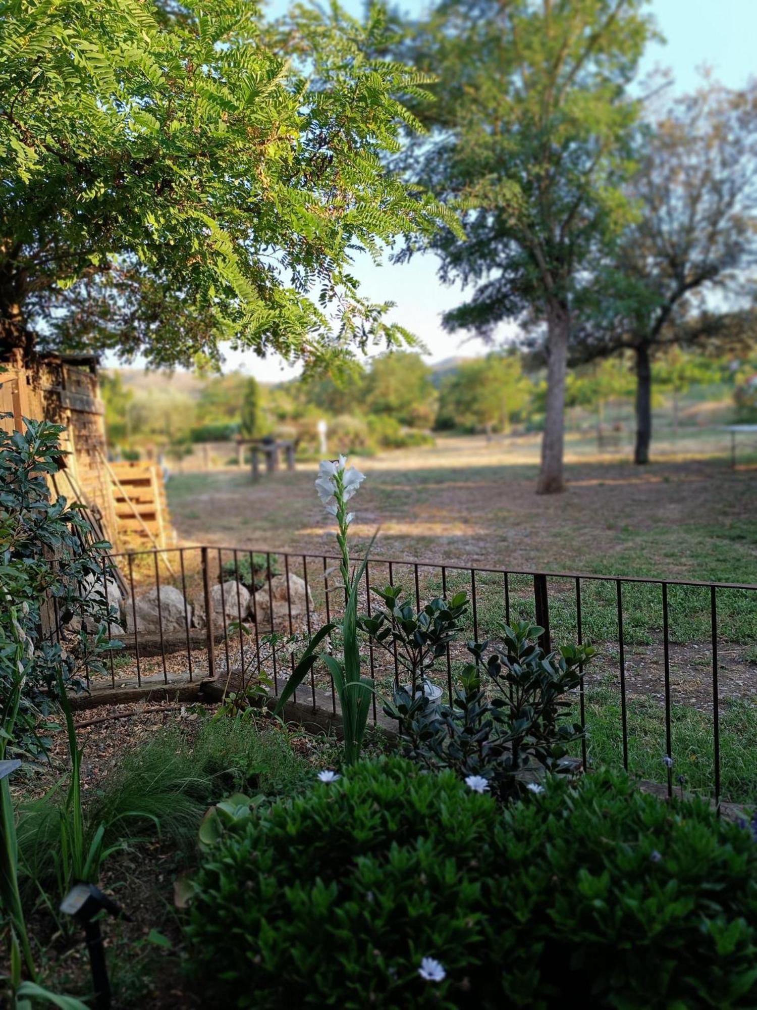 Mas Del Llop Blanc - Dog Friendly Hostal Rural - B&B Sobrestany Exterior photo
